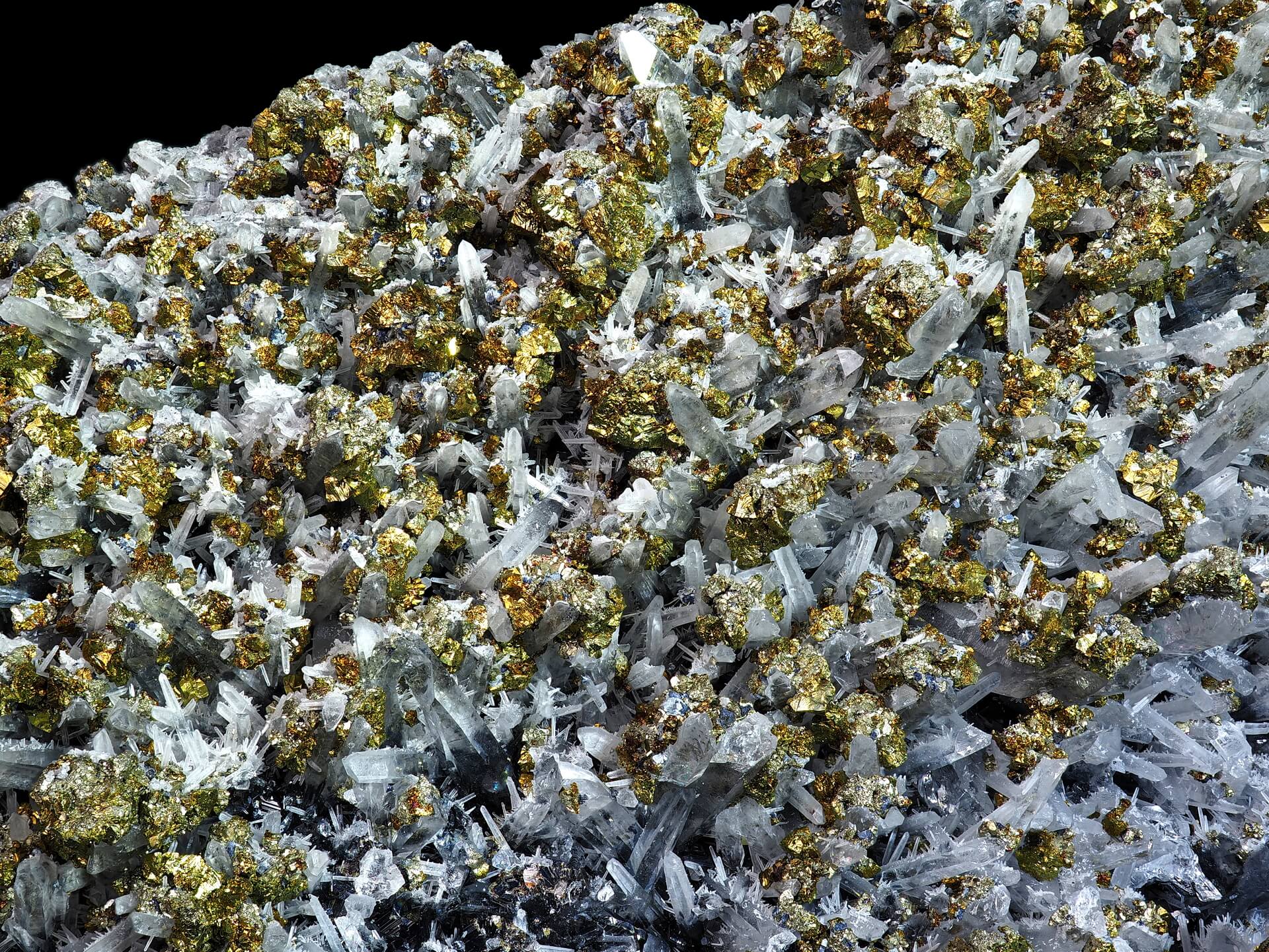 Abundant Chalcopyrite formed around and between small and large Quartz crystals, on an almost unseen Galena matrix.