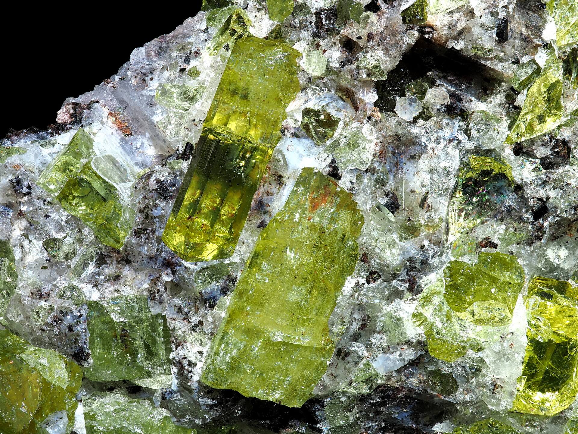 Close up view of multiple yellow Fluorapatite crystals surrounded by white Quartz and other minerals.