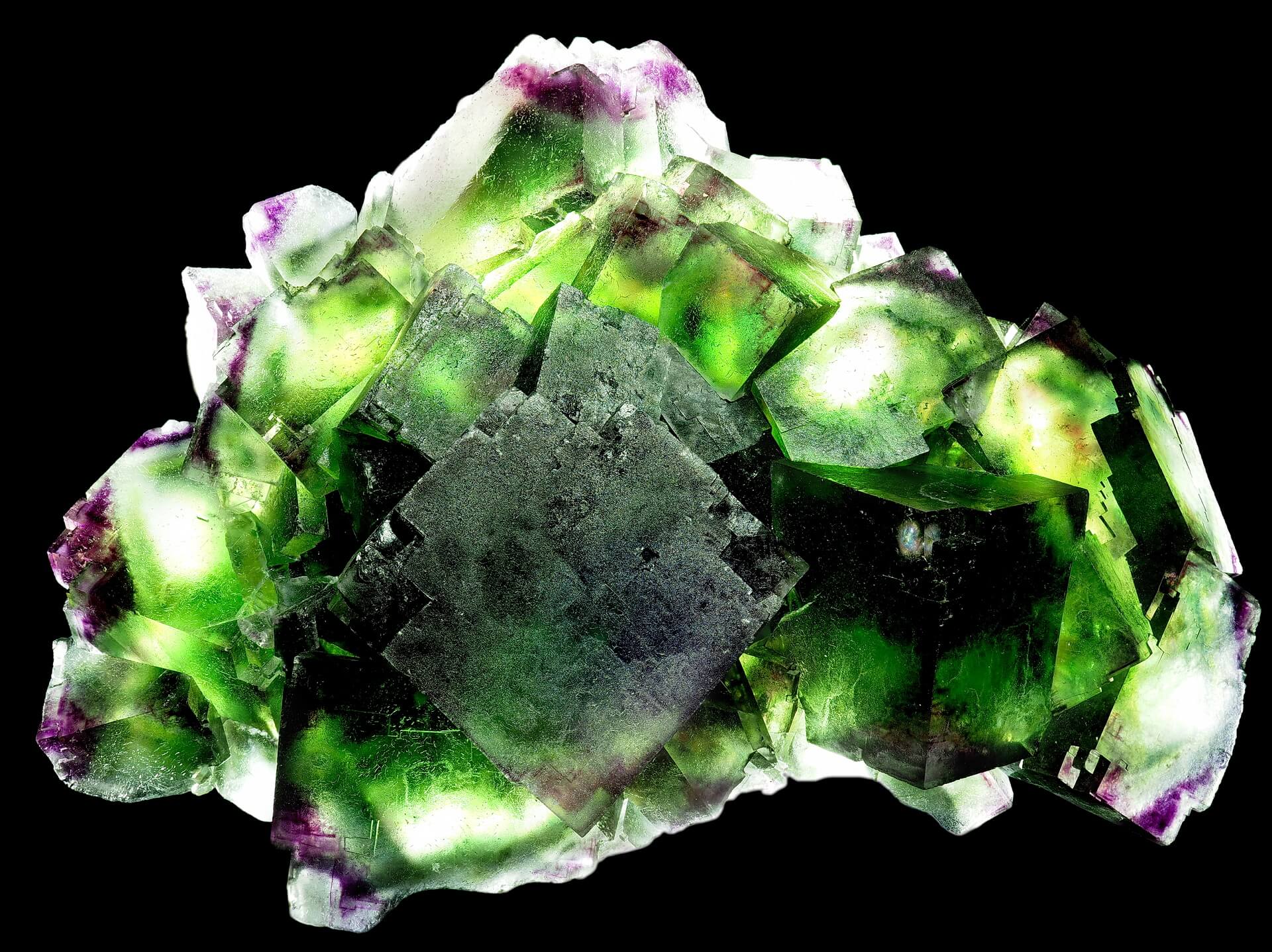 Cubic green Fluorite with purple zoned tips all around.